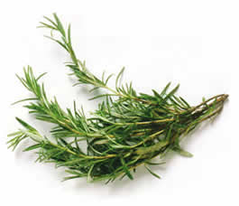 Rosemary